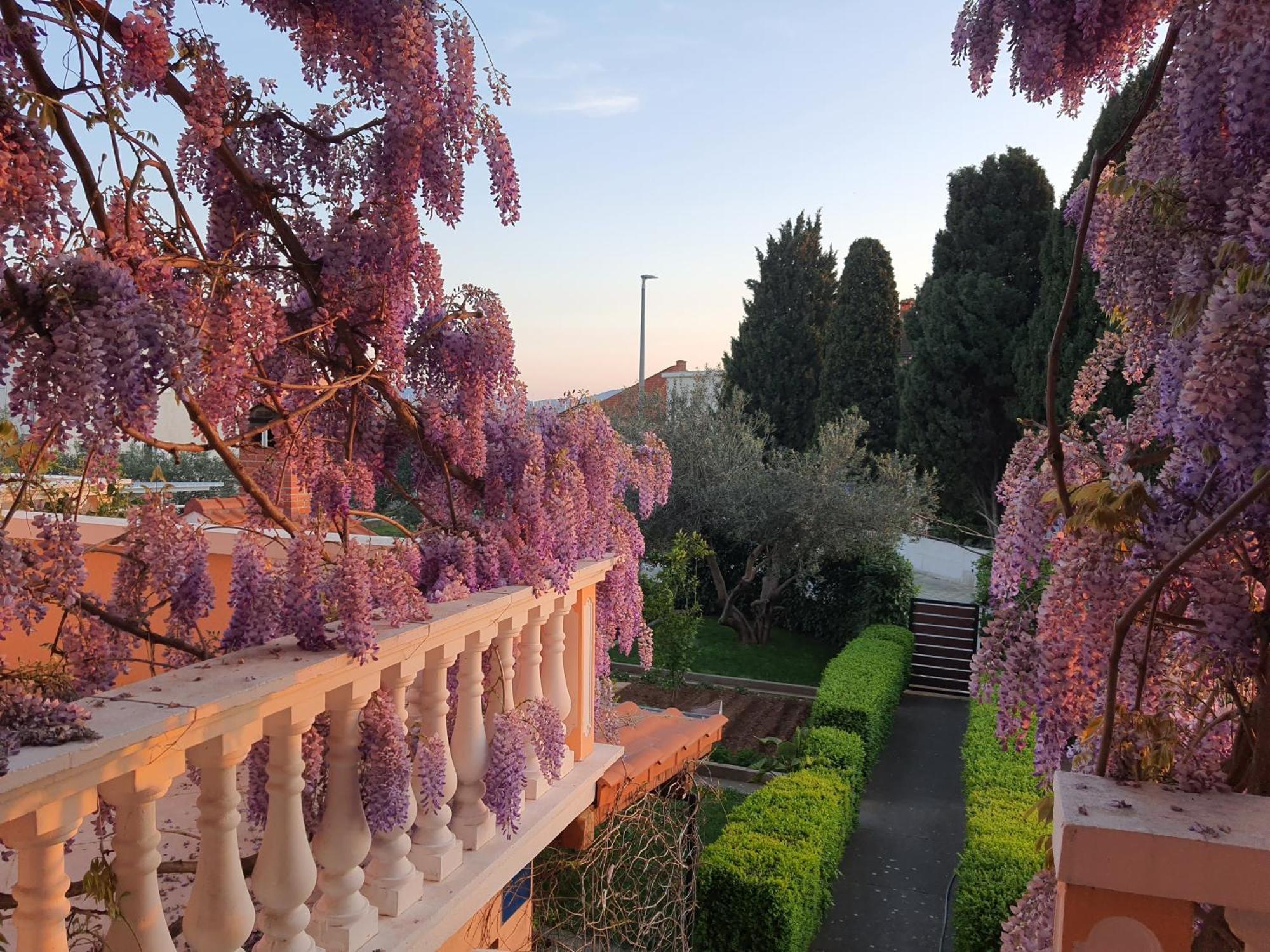 Apartments Durdica Bobic Biograd Na Moru Bagian luar foto